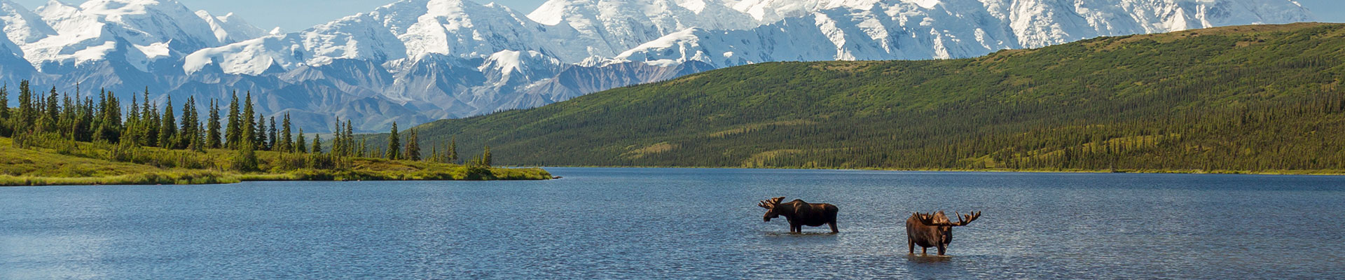 Fantasy RV Tours: 53 Day Alaska Deluxe (53AADP-060226)